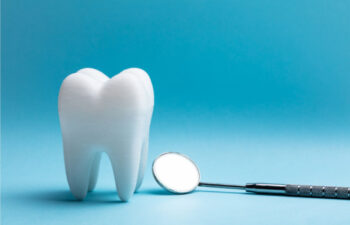 Understanding the Anatomy of Your Teeth Mooresville, NC